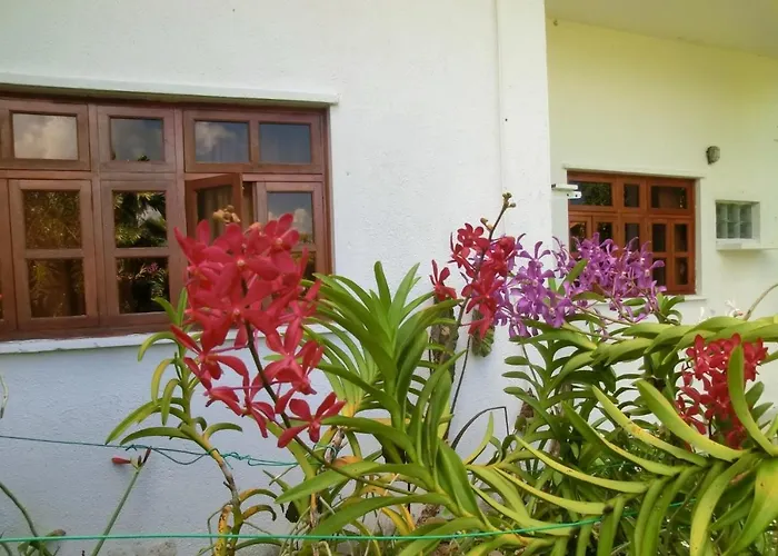 Orchid Sunset Baie Lazare (Mahe)