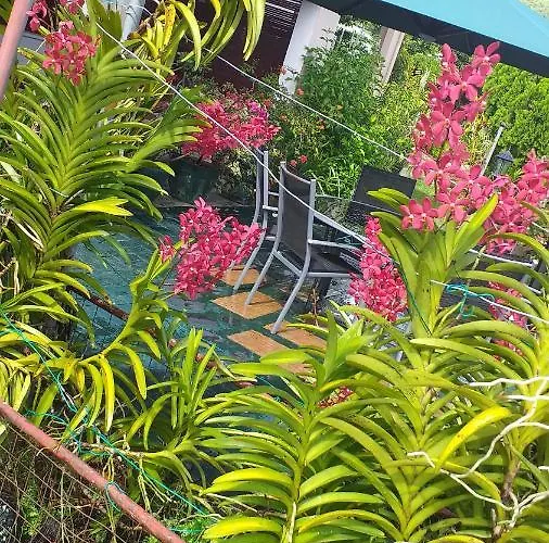 Affittacamere Orchid Sunset Baie Lazare (Mahe)